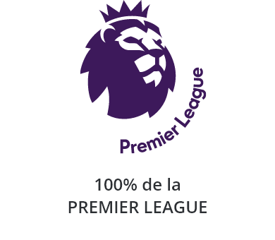 Logo de la Premier League